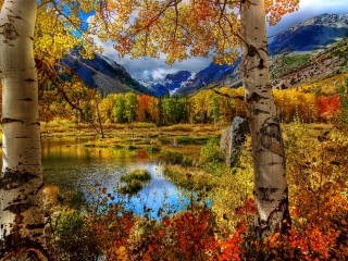 Das Amazing Autumn Scenery Wallpaper 320x240