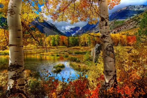 Das Amazing Autumn Scenery Wallpaper 480x320