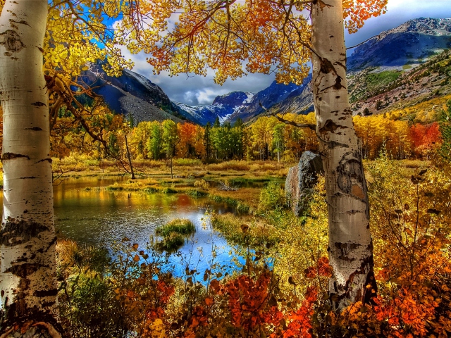 Amazing Autumn Scenery screenshot #1 640x480