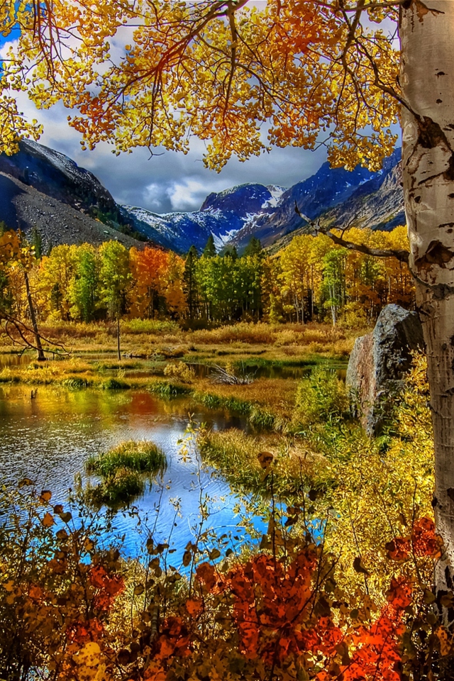 Fondo de pantalla Amazing Autumn Scenery 640x960