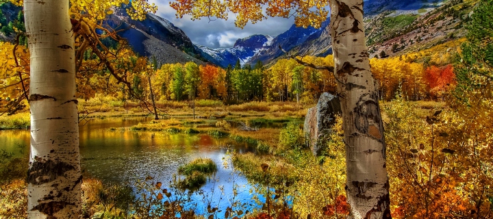 Amazing Autumn Scenery wallpaper 720x320