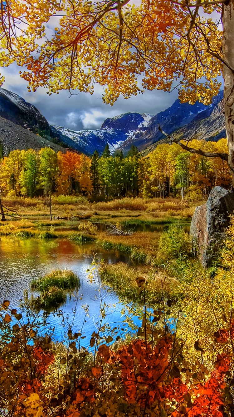 Das Amazing Autumn Scenery Wallpaper 750x1334