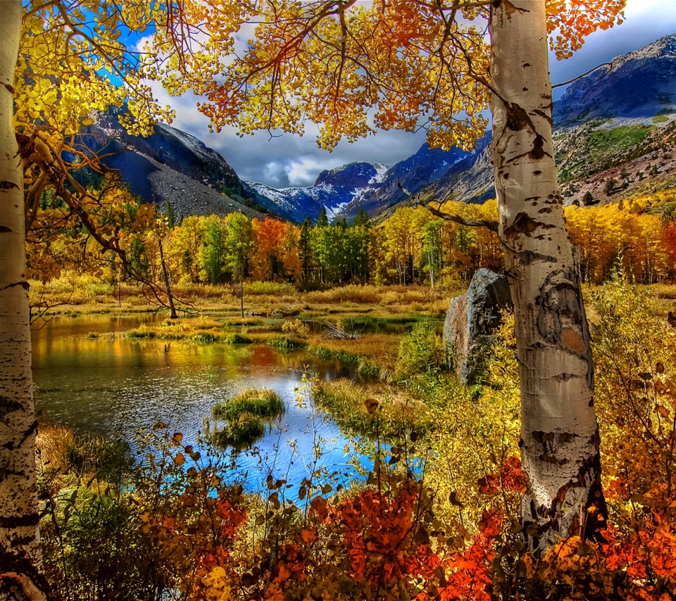 Das Amazing Autumn Scenery Wallpaper 960x854