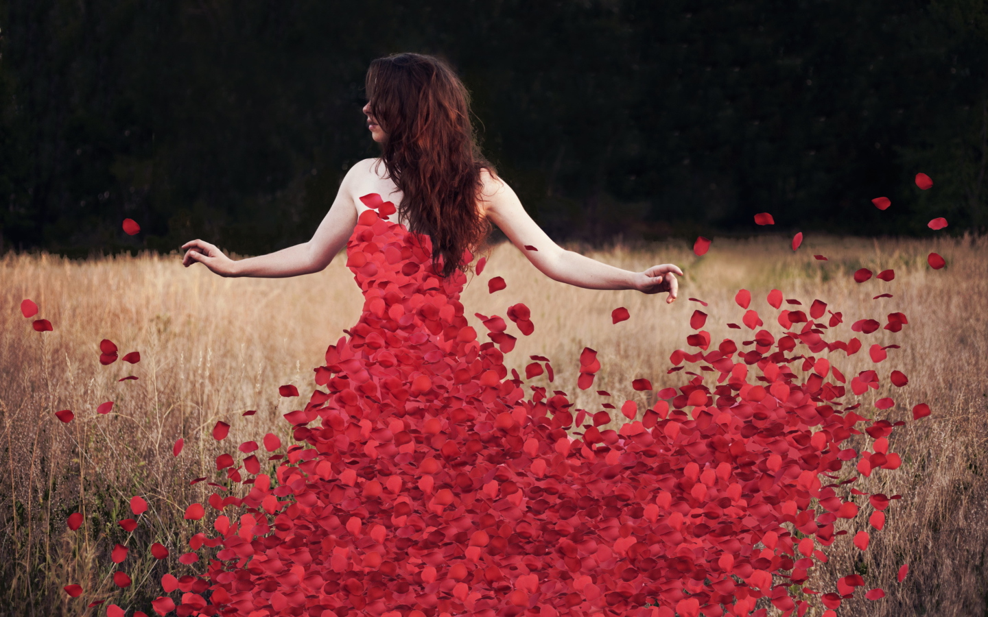 Red Petal Dress wallpaper 1440x900