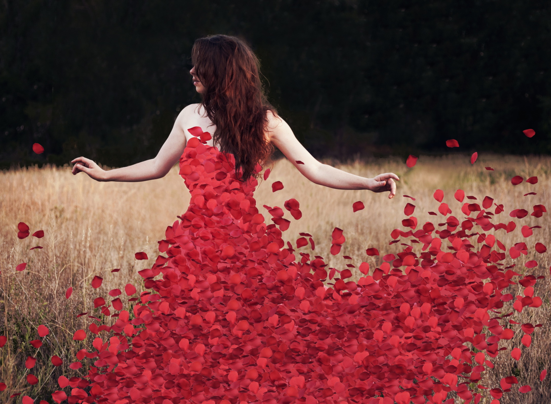 Sfondi Red Petal Dress 1920x1408