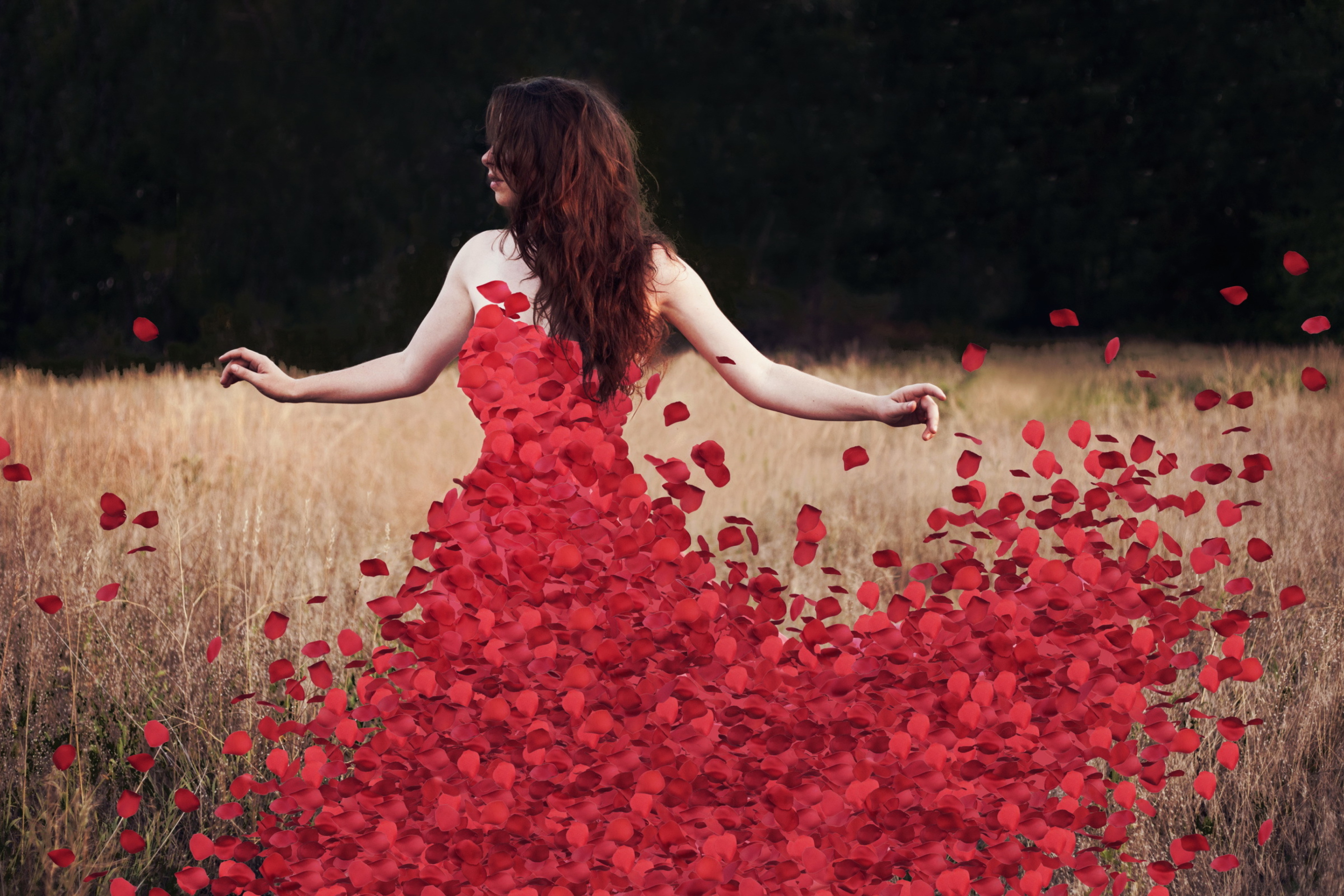 Обои Red Petal Dress 2880x1920