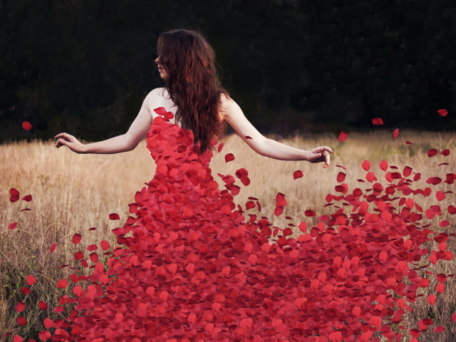 Red Petal Dress wallpaper 640x480