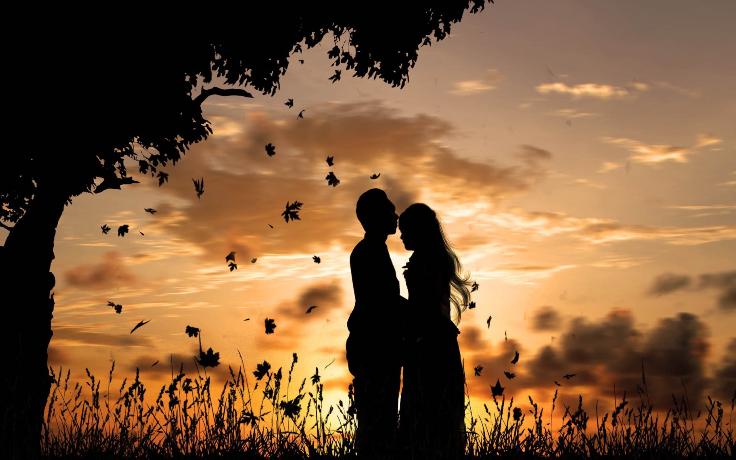 Romantic Silhouettes wallpaper 2560x1600