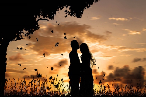 Sfondi Romantic Silhouettes 480x320