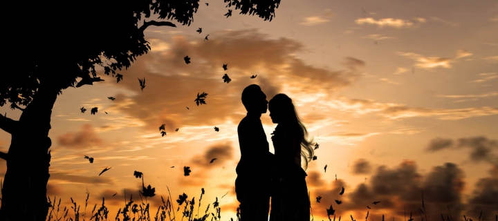 Sfondi Romantic Silhouettes 720x320