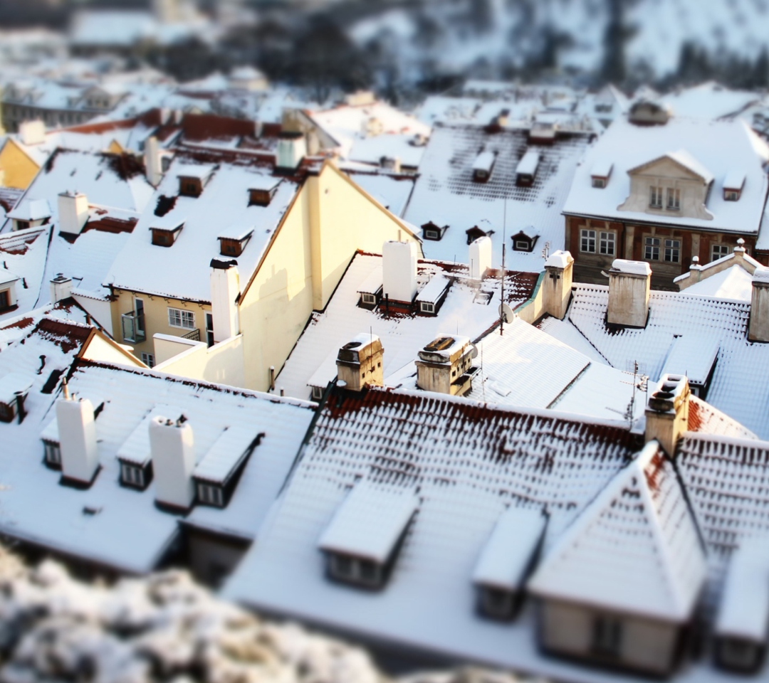 Rooftops In Prague screenshot #1 1080x960