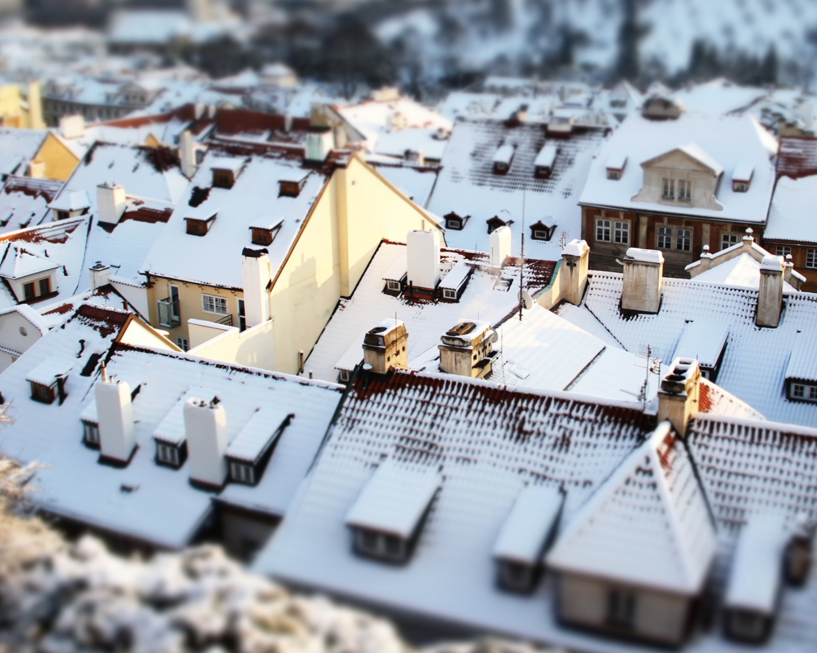 Rooftops In Prague screenshot #1 1600x1280