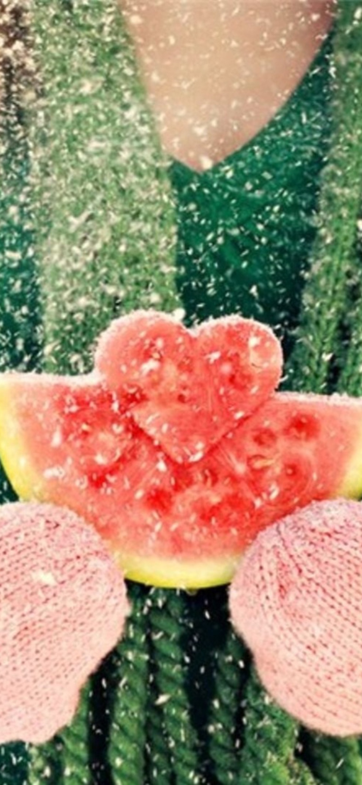 Fondo de pantalla Heart Shaped Winter Watermelon 1170x2532