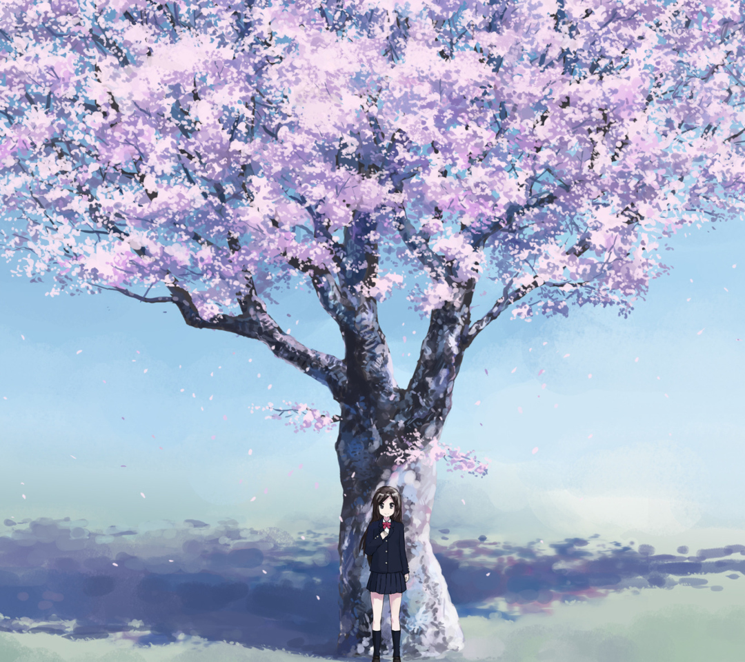 Das Girl And Sakura Wallpaper 1080x960