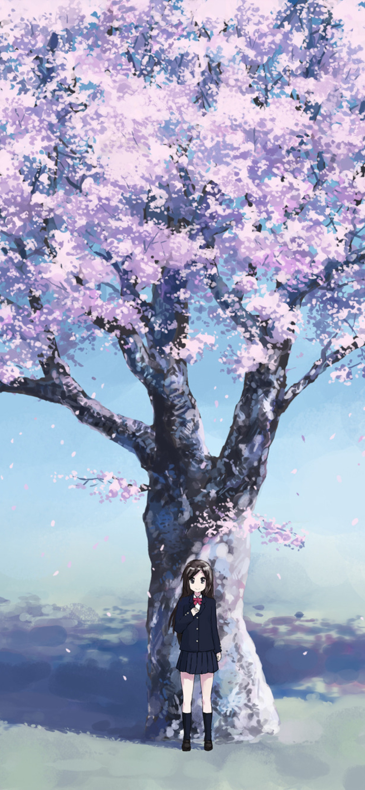 Sakura Wallpaper  Download to your mobile from PHONEKY