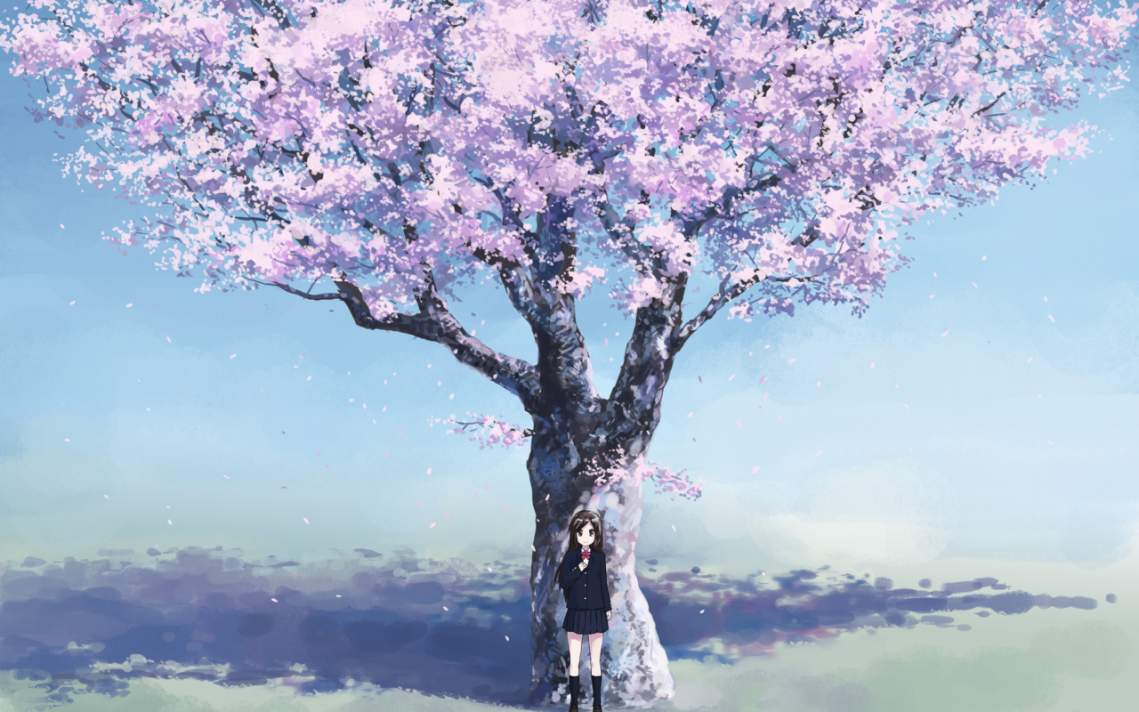 Das Girl And Sakura Wallpaper 1280x800
