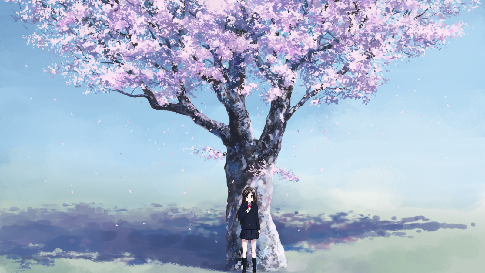 Girl And Sakura wallpaper 1600x900