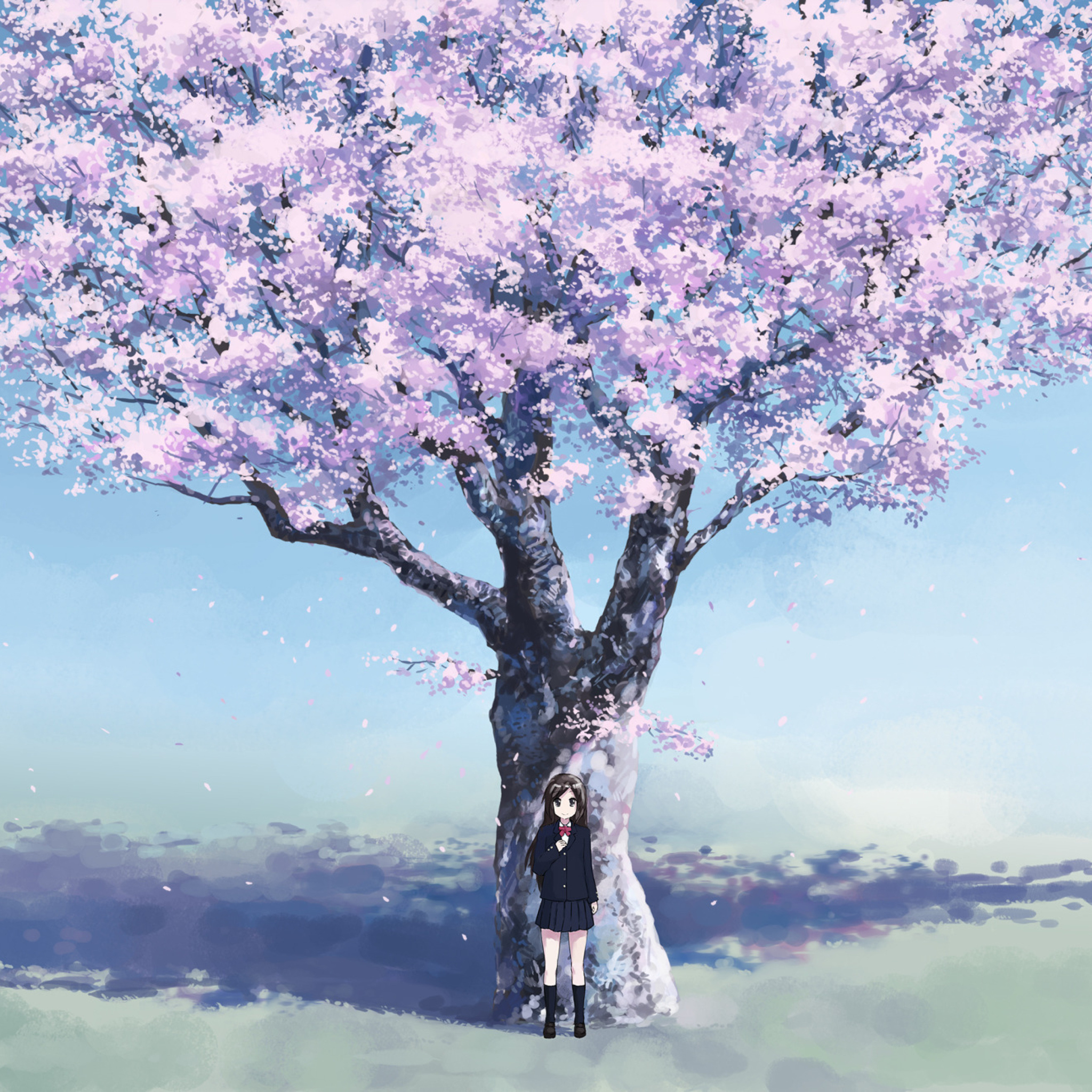 Das Girl And Sakura Wallpaper 2048x2048