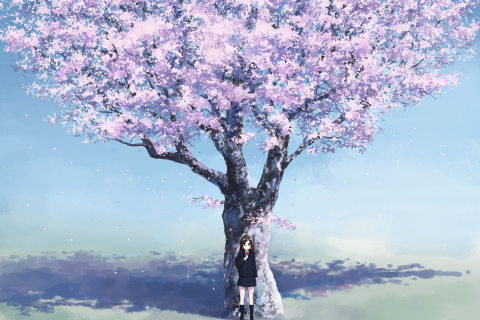 Girl And Sakura wallpaper 480x320