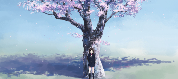 Girl And Sakura wallpaper 720x320
