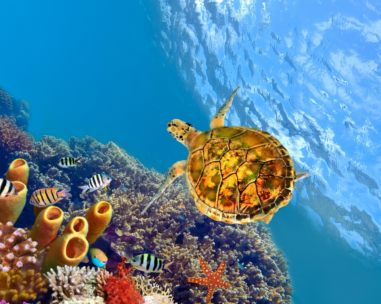 Colorful Underwater World wallpaper 1280x1024