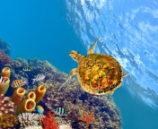 Colorful Underwater World wallpaper 176x144