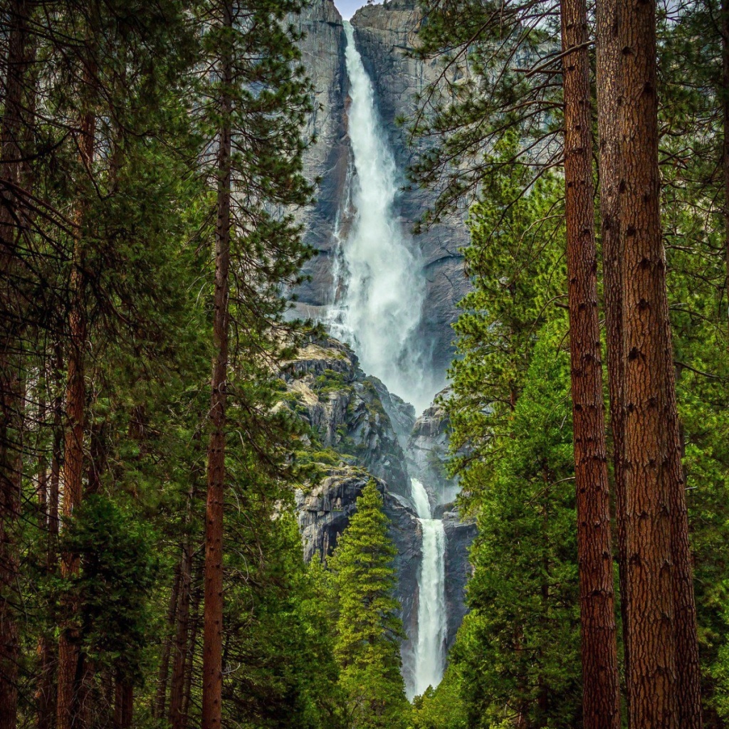 Fondo de pantalla Giant waterfall 1024x1024