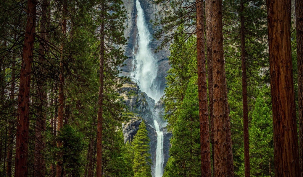 Fondo de pantalla Giant waterfall 1024x600