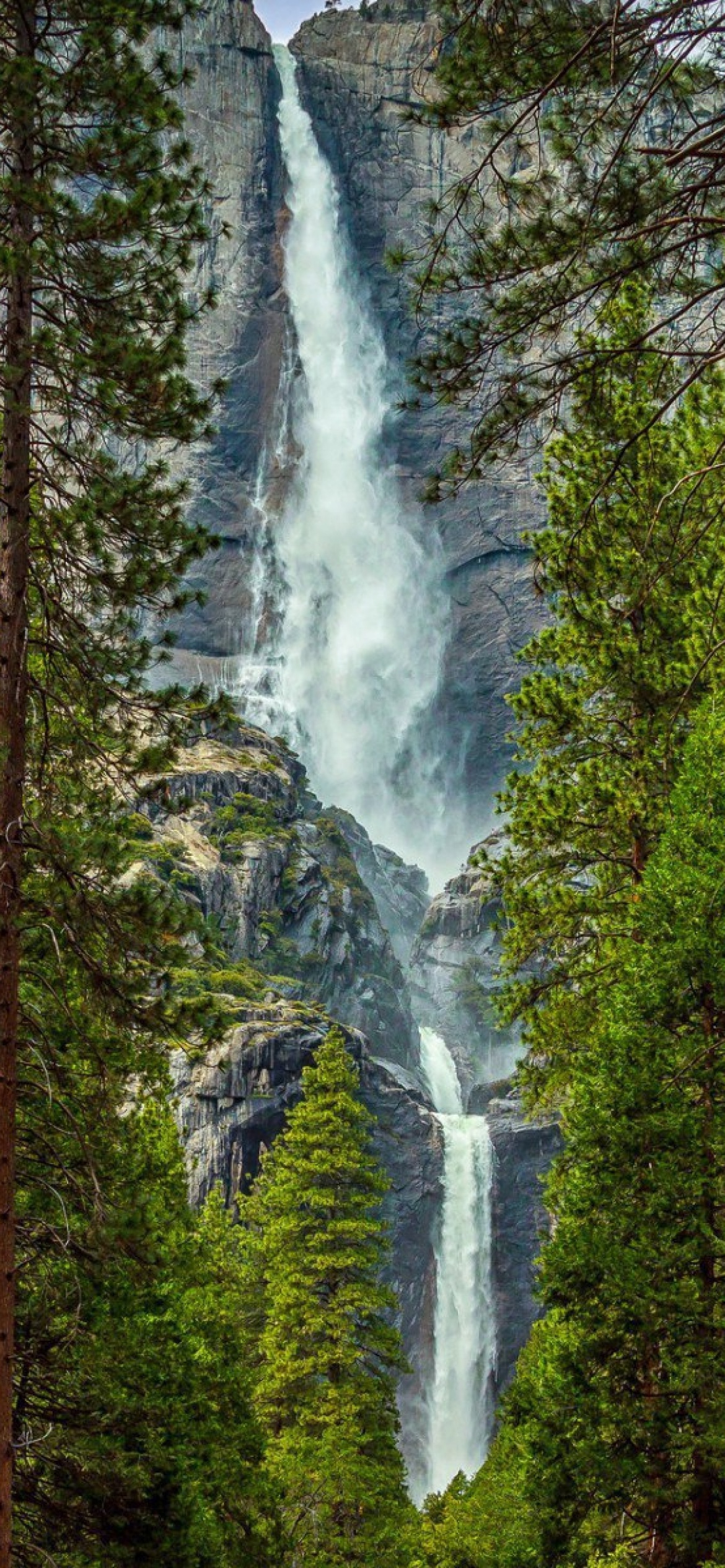 Giant waterfall wallpaper 1170x2532