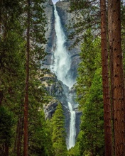 Обои Giant waterfall 176x220