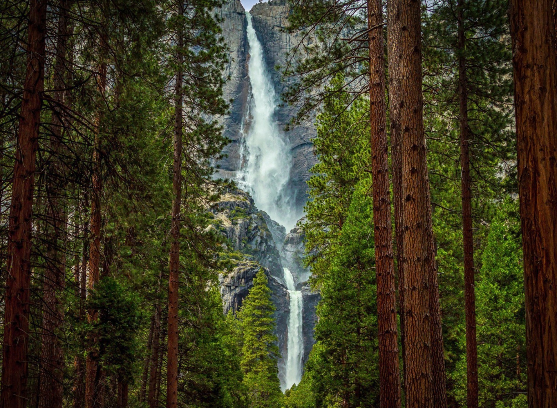 водопад лес бесплатно