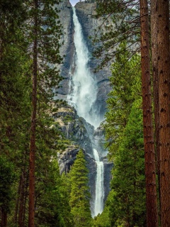 Fondo de pantalla Giant waterfall 240x320