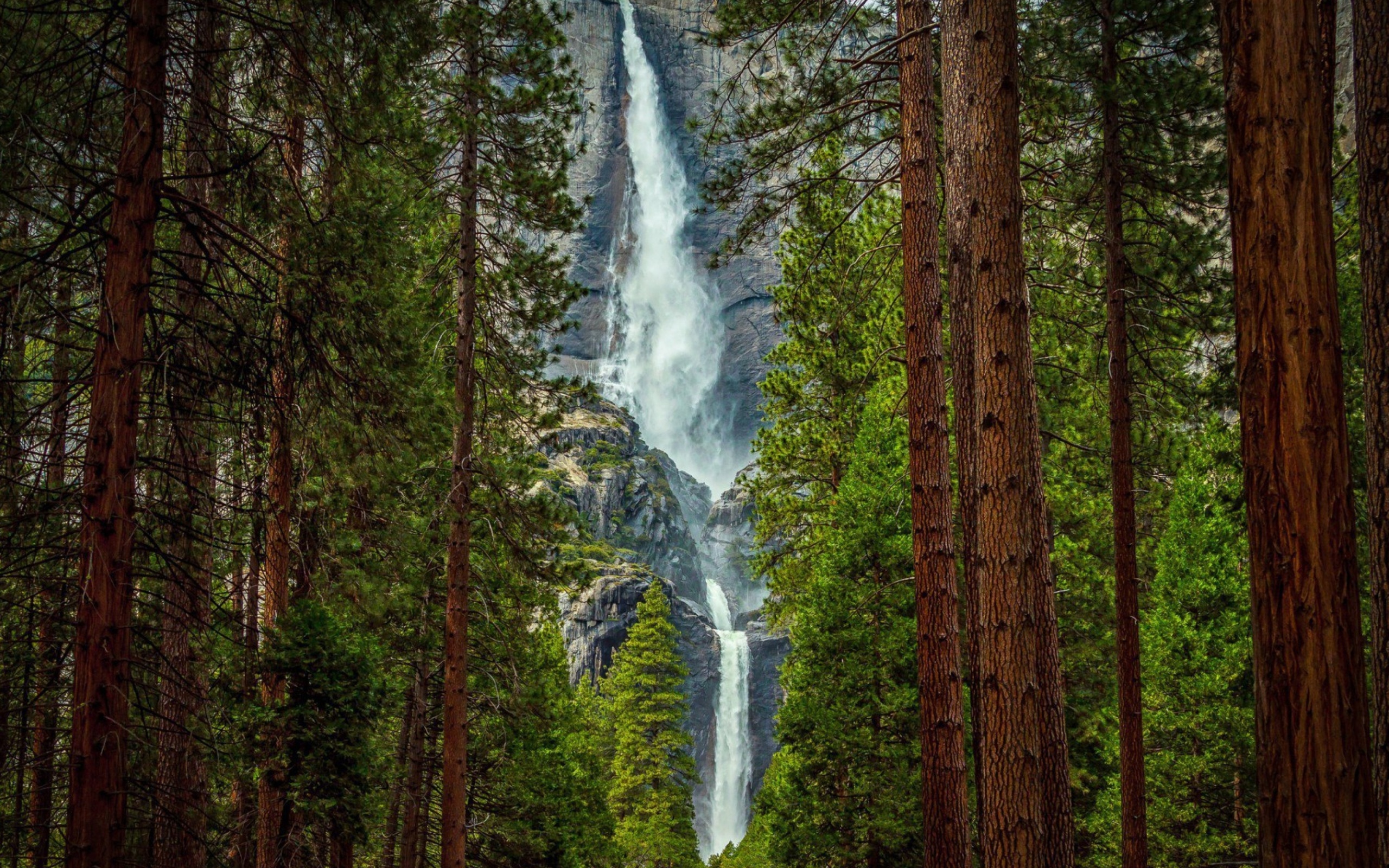 Giant waterfall wallpaper 2560x1600
