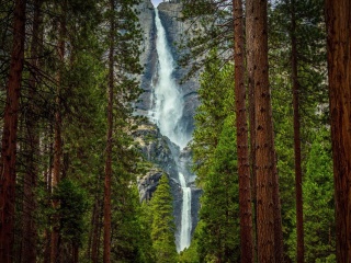 Das Giant waterfall Wallpaper 320x240