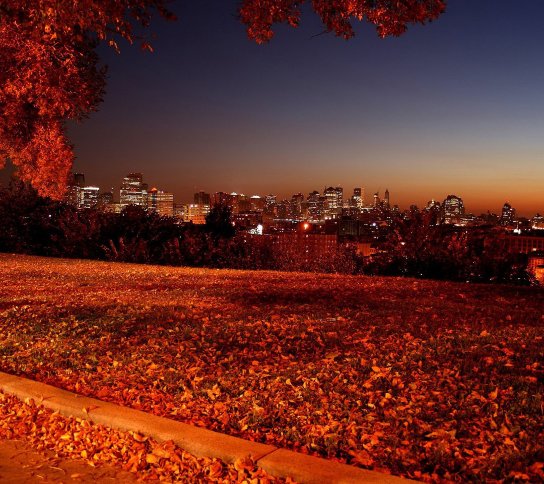 Autumn in Chicago wallpaper 1080x960