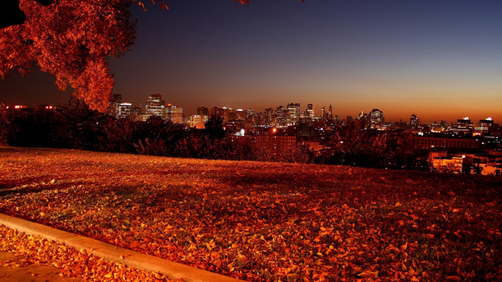 Autumn in Chicago screenshot #1 1600x900