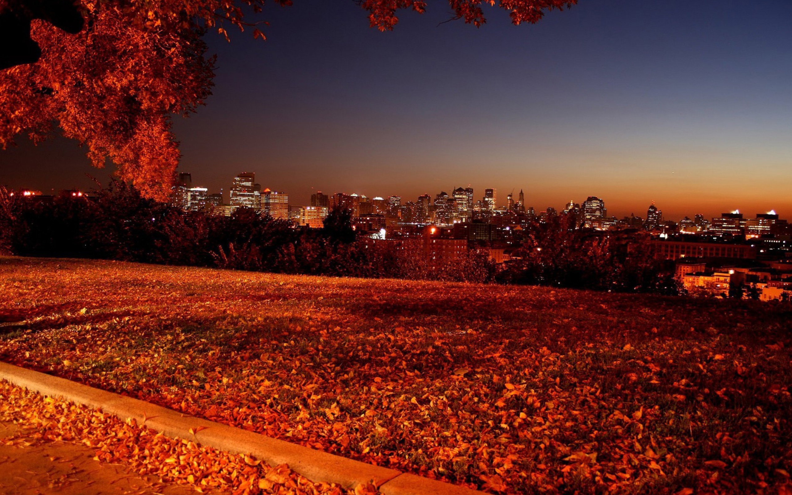 Sfondi Autumn in Chicago 2560x1600