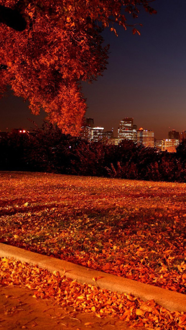 Обои Autumn in Chicago 640x1136