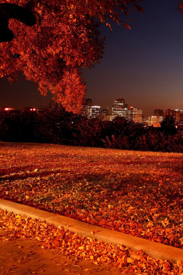 Das Autumn in Chicago Wallpaper 640x960