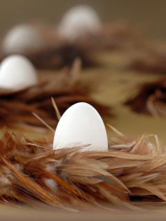 Chicken Egg screenshot #1 240x320