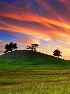 Sunset In California wallpaper 240x320