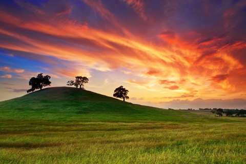Das Sunset In California Wallpaper 480x320