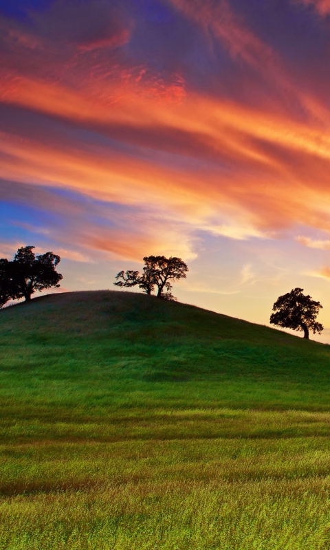 Sunset In California screenshot #1 480x800