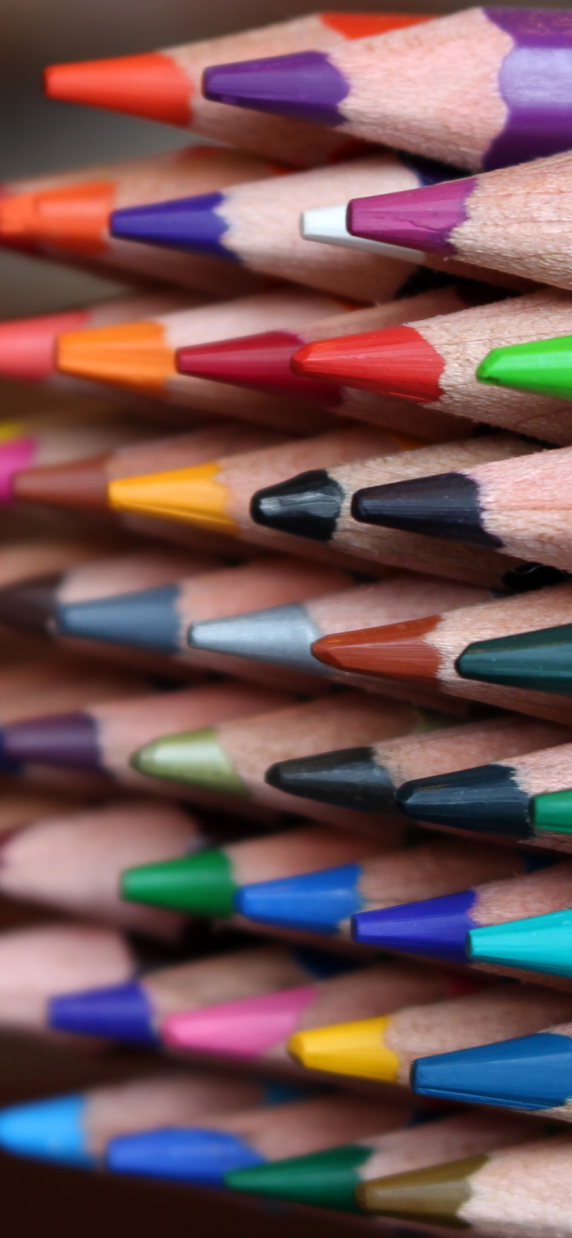 Crayola Colored Pencils wallpaper 1170x2532