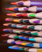 Обои Crayola Colored Pencils 176x220