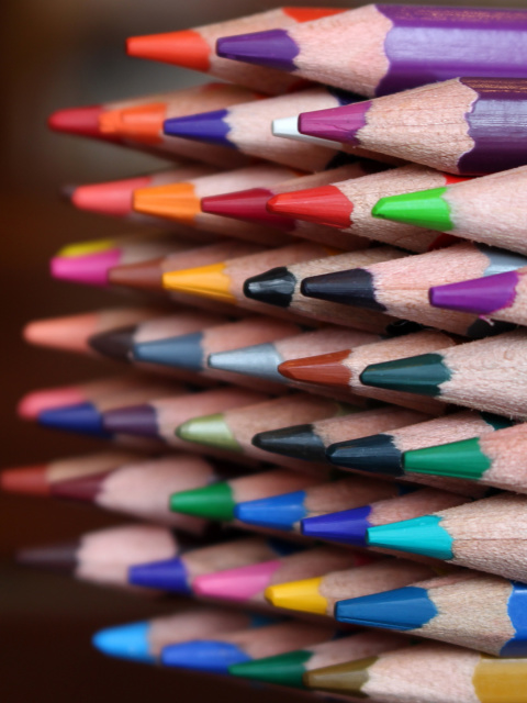 Fondo de pantalla Crayola Colored Pencils 480x640