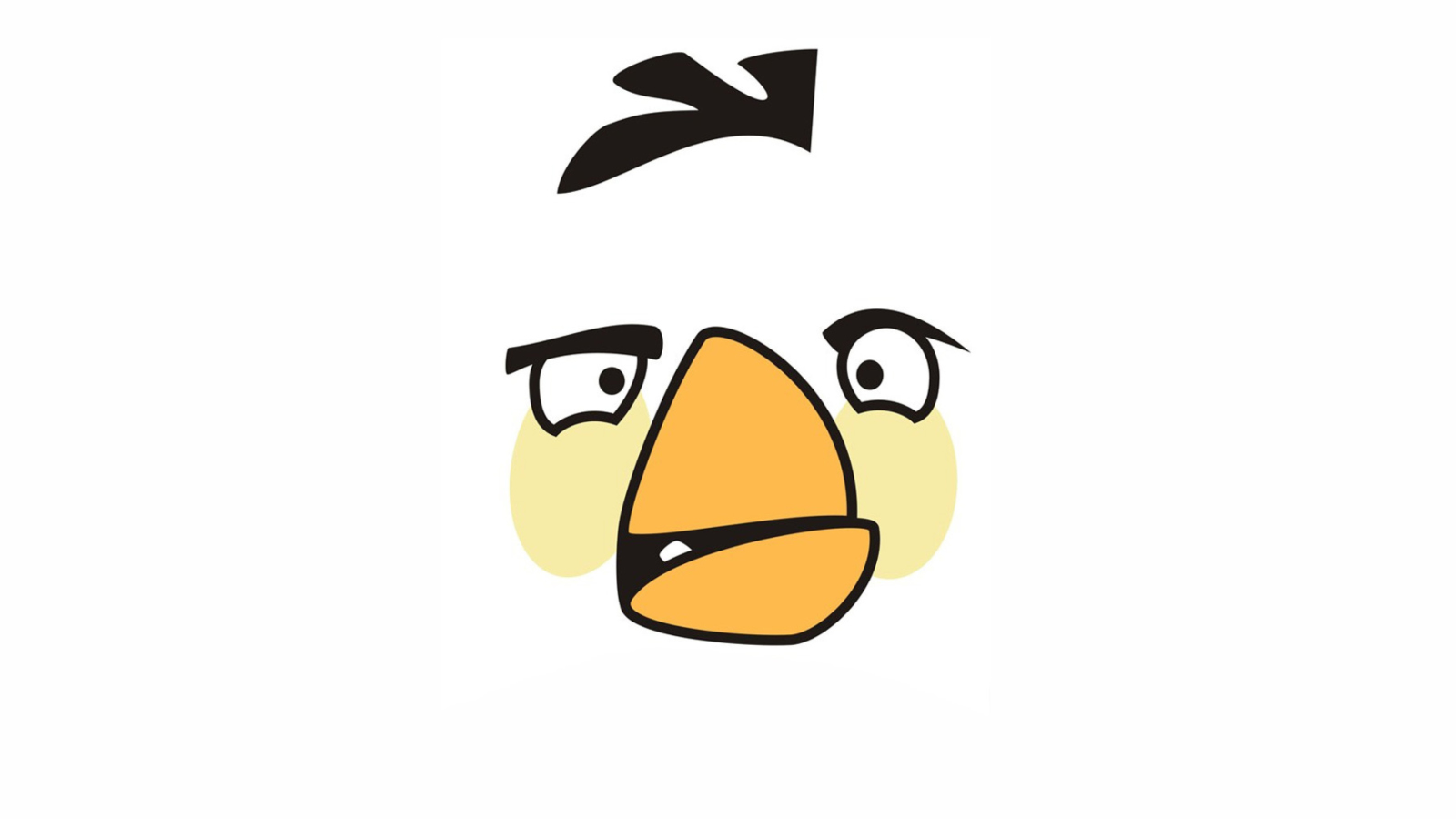 Sfondi Angry Bird 1600x900