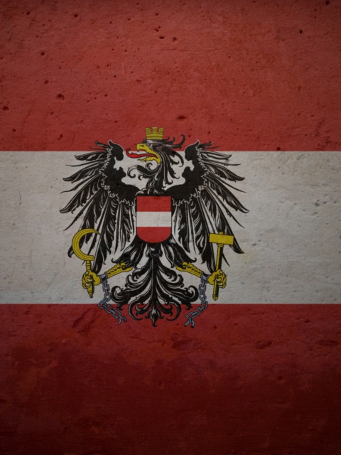 Sfondi Austrian Flag 480x640