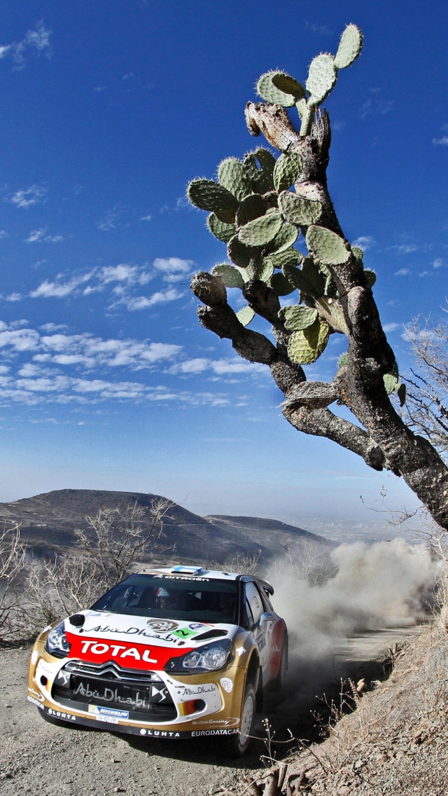 Fondo de pantalla Citroen, DS3, Rally 640x1136