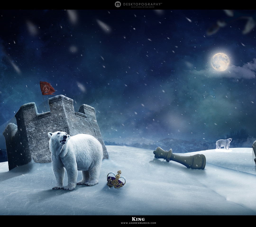 Das White Bear Polar King Wallpaper 1080x960